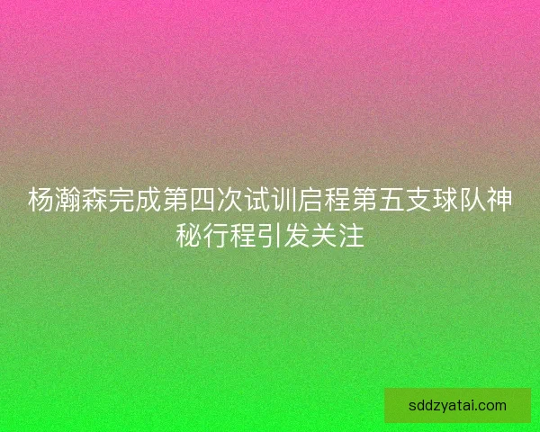 杨瀚森完成第四次试训启程第五支球队神秘行程引发关注