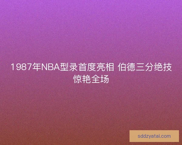 1987年NBA型录首度亮相 伯德三分绝技惊艳全场