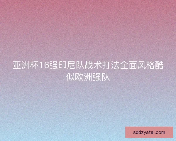 亚洲杯16强印尼队战术打法全面风格酷似欧洲强队