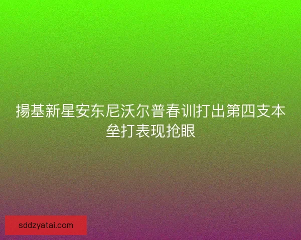 揚基新星安东尼沃尔普春训打出第四支本垒打表现抢眼