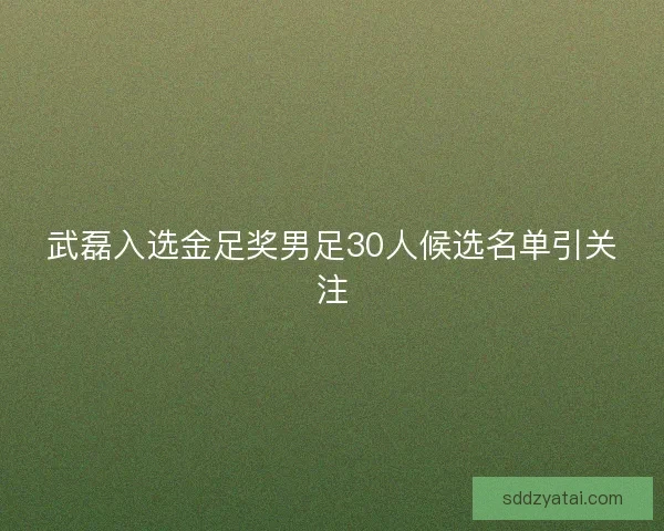 武磊入选金足奖男足30人候选名单引关注